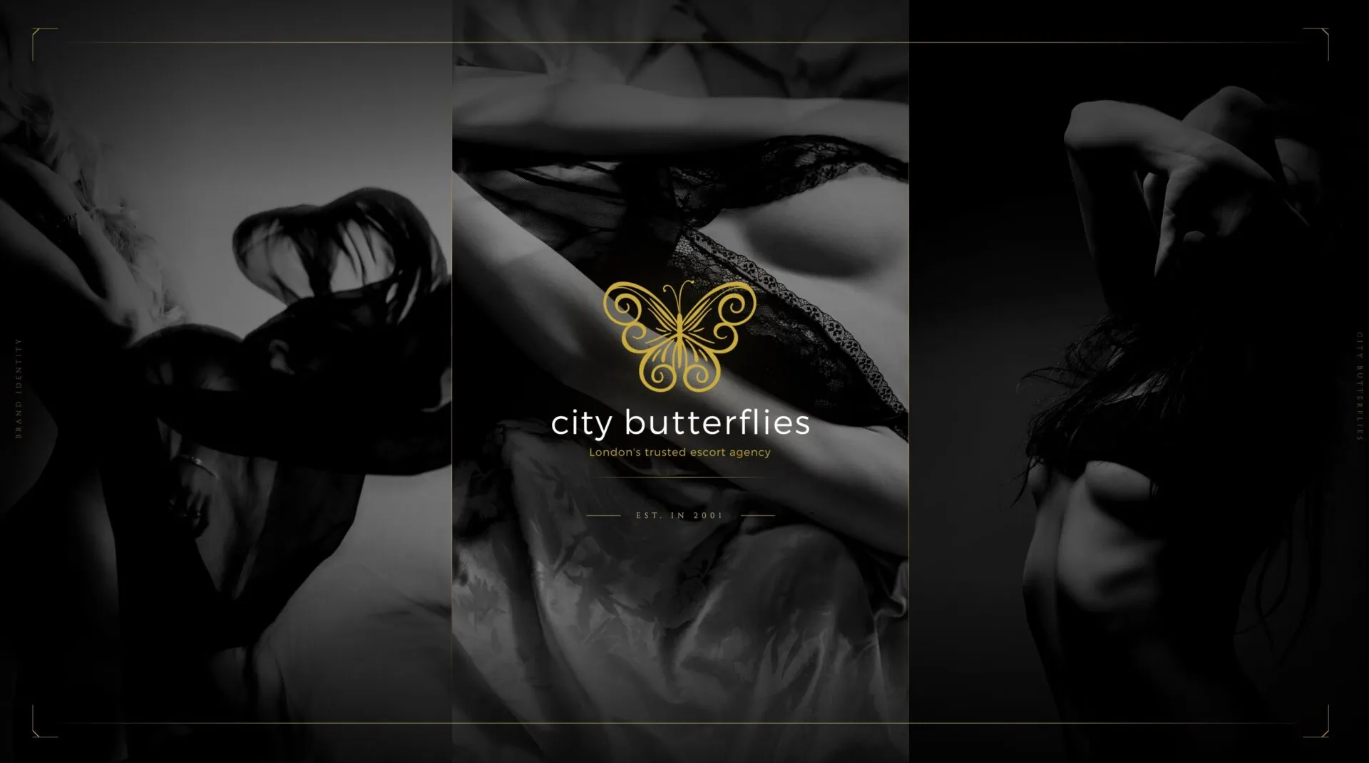 Black-and-white lingerie imagery with gold butterfly logo